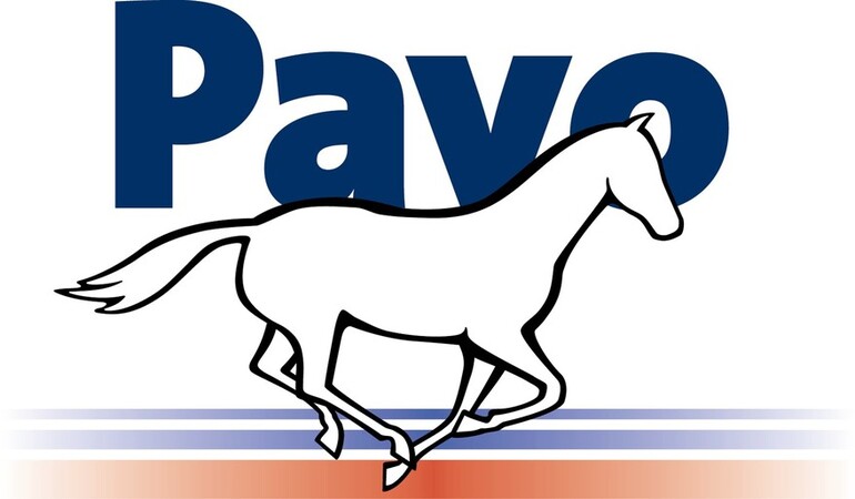 pavo