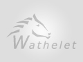 Videos of  Wiesbaden GP