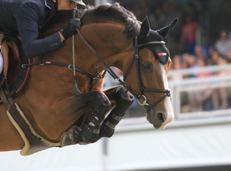 KRONOS D’OUILLY