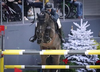 SPIKE VD WITHOEVE