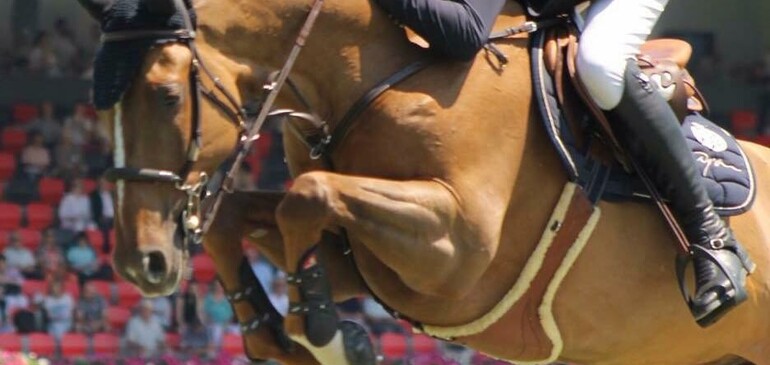 Algorythem s'impose au CSIO de Calgary...