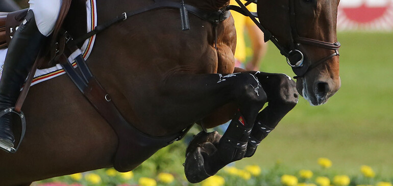 Conrad De Hus 6ème dans le GP de Calgary