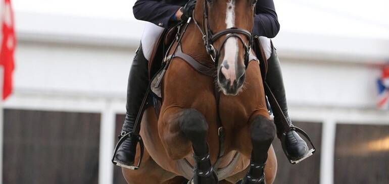 Flashback on the Opglabbeek CSI3*