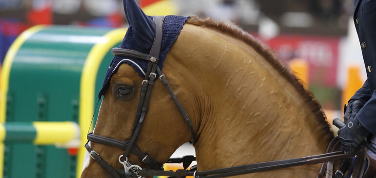 Taalex remporte le GP de Zurich.
